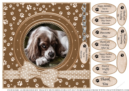 SPANIEL 1 THANK YOU AND VARIOUS OTHER SENTIMENTS