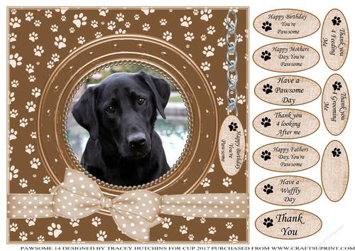 BLACK LAB THANK YOU AND VARIOUS OTHER SENTIMENTS