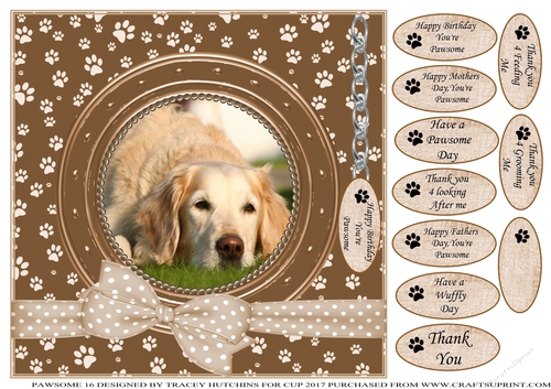 GOLDEN RETRIEVER THANK YOU AND VARIOUS OTHER SENTIMENTS