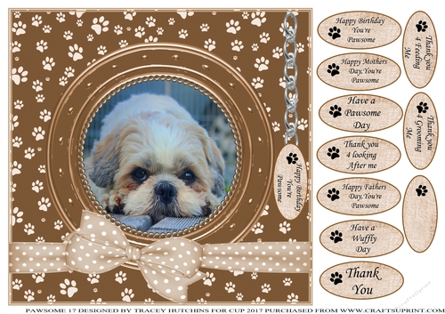SHIHTZU THANK YOU AND VARIOUS OTHER SENTIMENTS