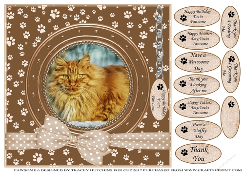 GINGER CAT THANK YOU AND VARIOUS OTHER SENTIMENTS