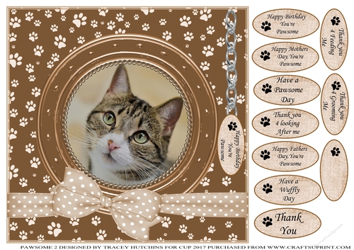 TABBY CAT  THANK YOU AND VARIOUS OTHER SENTIMENTS