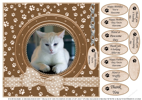 WHITE CAT THANK YOU AND VARIOUS OTHER SENTIMENTS