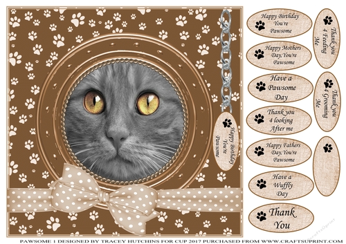 GREY CAT THANK YOU AND VARIOUS OTHER SENTIMENTS