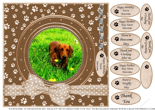 DACHSUND THANK YOU AND VARIOUS OTHER SENTIMENTS