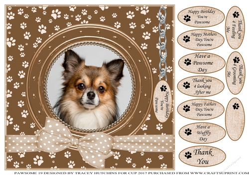 CHIHUAHUA 1 THANK YOU AND VARIOUS OTHER SENTIMENTS