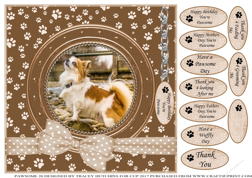 CHIHUAHUA  2 THANK YOU AND VARIOUS OTHER SENTIMENTS