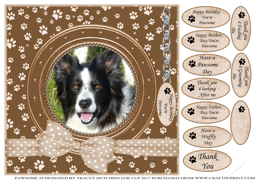 COLLIE THANK YOU AND VARIOUS OTHER SENTIMENTS
