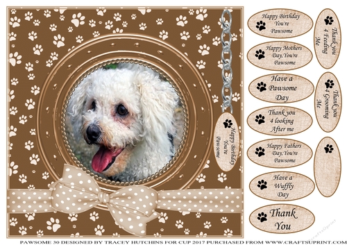 BICHON FRISE THANK YOU AND VARIOUS OTHER SENTIMENTS