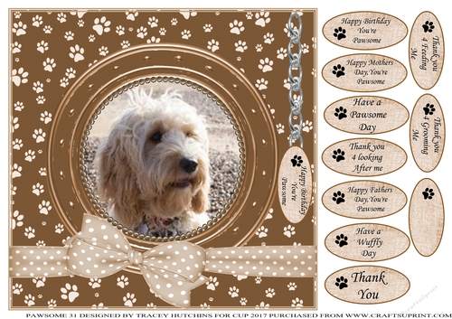 LABRADOODLE THANK YOU AND VARIOUS OTHER SENTIMENTS