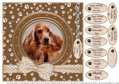 SPANIEL 2 THANK YOU AND VARIOUS OTHER SENTIMENTS