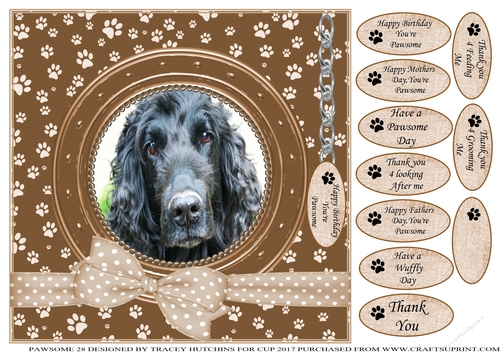 SPANIEL 3 THANK YOU AND VARIOUS OTHER SENTIMENTS