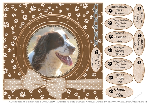 SPANIEL 4 THANK YOU AND VARIOUS OTHER SENTIMENTS