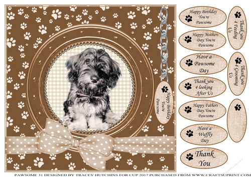 FLUFFY MIXED BREED THANK YOU AND VARIOUS OTHER SENTIMENTS