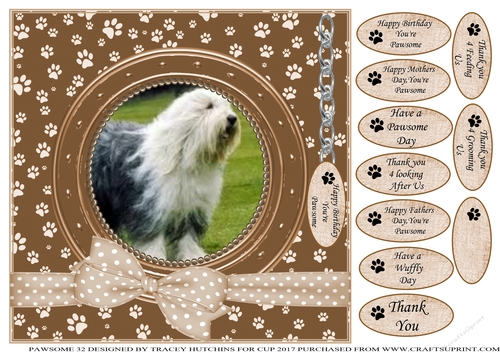 OLD ENGLISH SHEEPDOG THANK YOU AND VARIOUS OTHER SENTIMENTS
