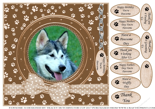 MALAMUTE THANK YOU AND VARIOUS OTHER SENTIMENTS