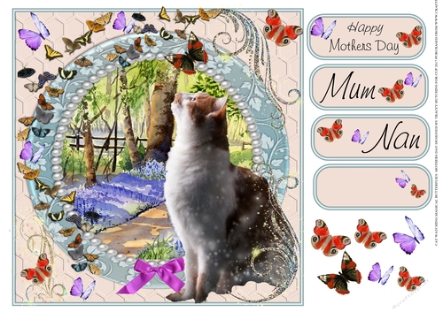 CAT WATCHING MAGICAL BUTTERFLIES MOTHERSDAY MULTI SENTIMENT
