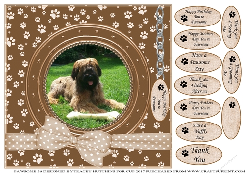 BRIARD 1 THANK YOU AND VARIOUS OTHER SENTIMENTS