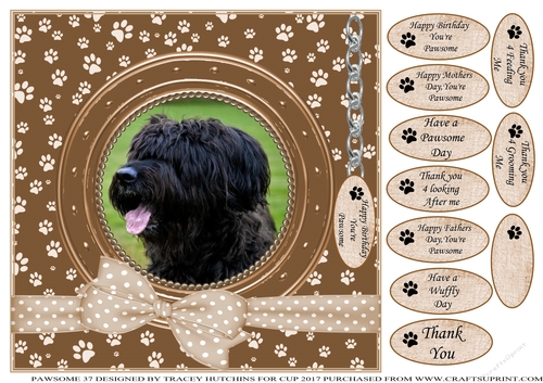 BRIARD 2 THANK YOU AND VARIOUS OTHER SENTIMENTS