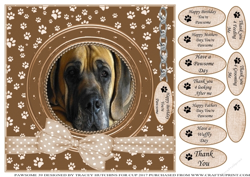 GREAT DANE THANK YOU AND VARIOUS OTHER SENTIMENTS