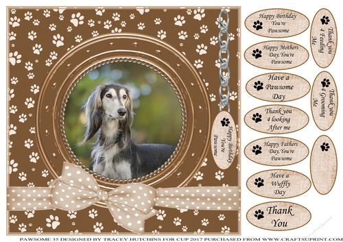 SALUKI THANK YOU AND VARIOUS OTHER SENTIMENTS