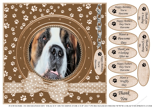 ST BERNARD THANK YOU AND VARIOUS OTHER SENTIMENTS
