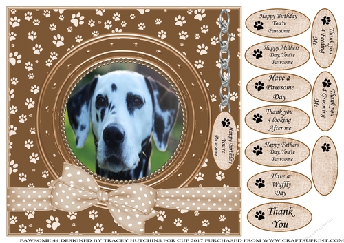 DALMATION THANK YOU AND VARIOUS OTHER SENTIMENTS