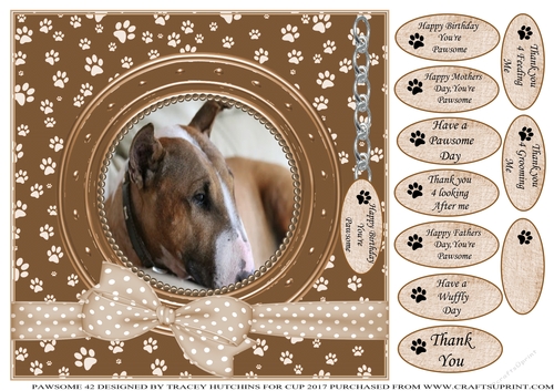 ENGLISH BULL TERRIER THANK YOU AND VARIOUS OTHER SENTIMENTS