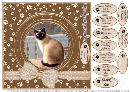 SIAMESE CAT THANK YOU AND VARIOUS OTHER SENTIMENTS