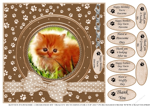 KITTEN 1 THANK YOU AND VARIOUS OTHER SENTIMENTS