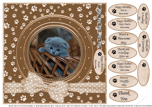 KITTEN 4 THANK YOU AND VARIOUS OTHER SENTIMENTS
