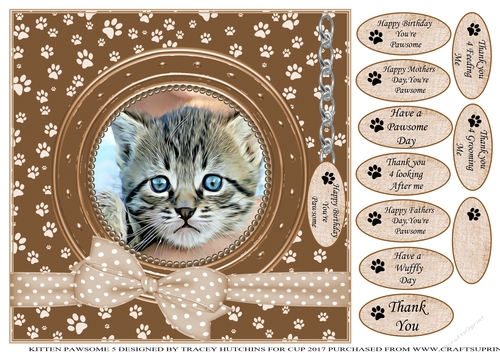 KITTEN 5 THANK YOU AND VARIOUS OTHER SENTIMENTS