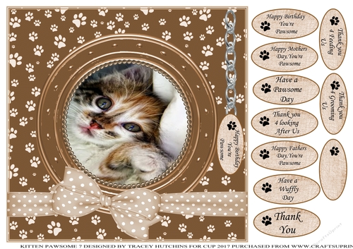 KITTEN 7 THANK YOU AND VARIOUS OTHER SENTIMENTS