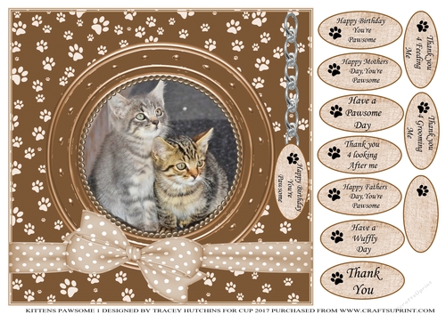 KITTENS 1 THANK YOU AND VARIOUS OTHER SENTIMENTS