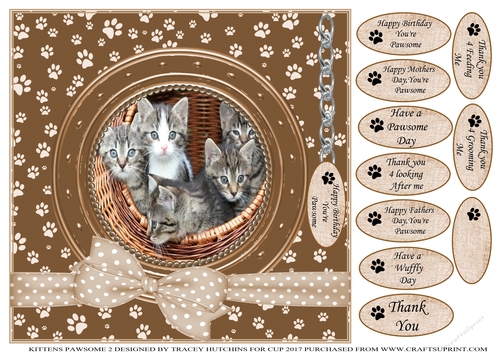 KITTENS 2 THANK YOU AND VARIOUS OTHER SENTIMENTS