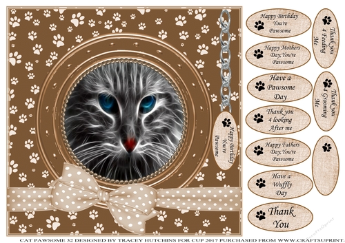  CAT 33 PAWSOME  THANK YOU AND VARIOUS OTHER SENTIMENTS