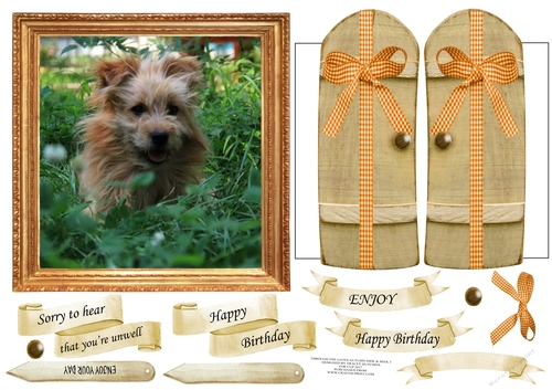 THROUGH THE GATES  MULTI USE UNISEX 6x6 HIDE & SEEK 2 DOG