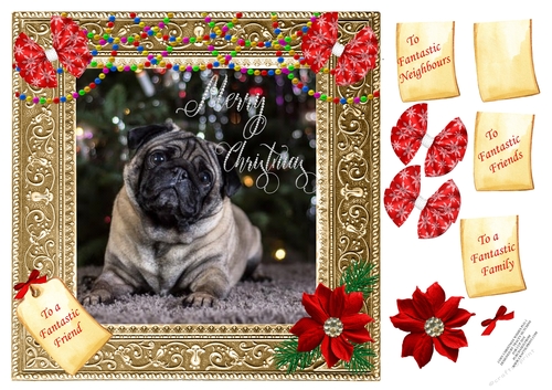 COSY CHRISTMAS PUG 2