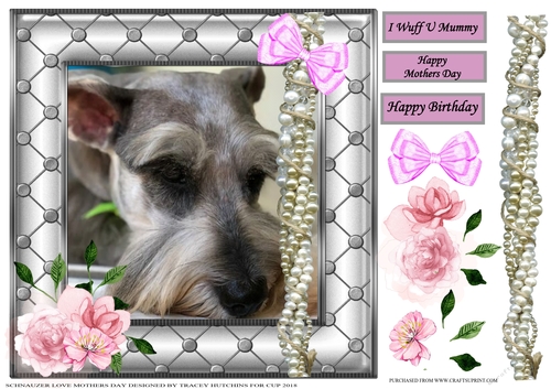 SCHNAUZER 1 MOTHERS DAY / BIRTHDAY 