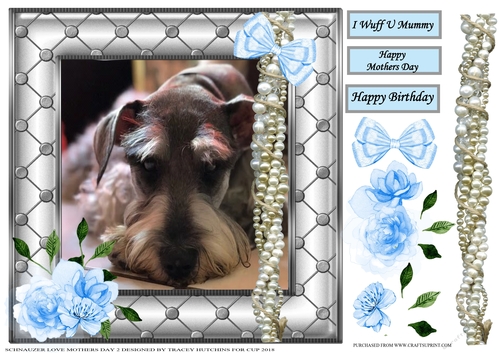 SCHNAUZER 2 MOTHERS DAY / BIRTHDAY 