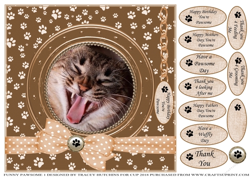 A CARD FROM THE CAT 2 MISC SENTIMENTS