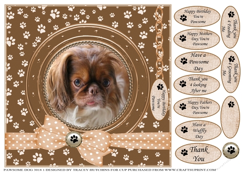 A CARD FROM THE DOG 2 MISC SENTIMENTS