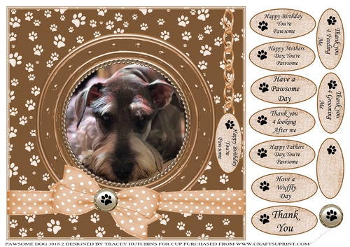 A CARD FROM THE DOG 4 MISC SENTIMENTS