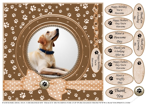 A CARD FROM THE DOG 3 MISC SENTIMENTS