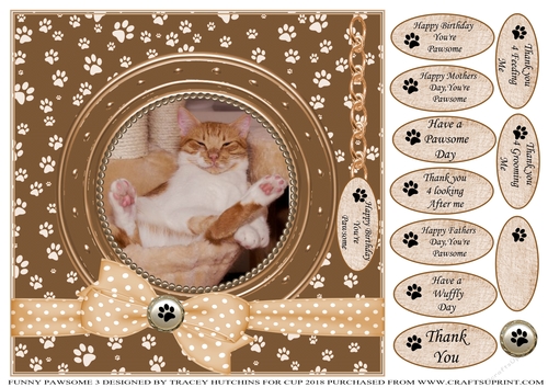 A CARD FROM THE CAT 3 MISC SENTIMENTS
