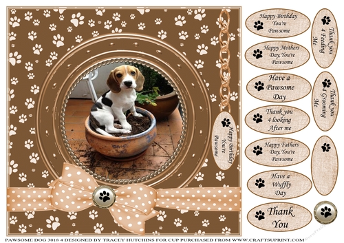 A CARD FROM THE DOG 1 MISC SENTIMENTS