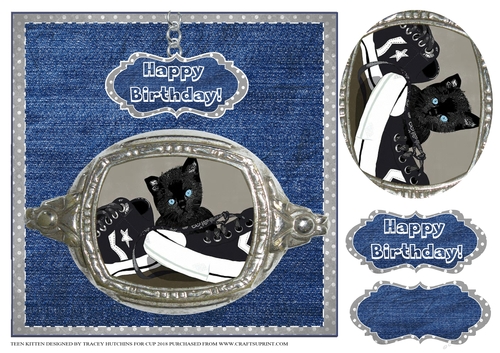 TEEN KITTEN UNISEX BIRTHDAY