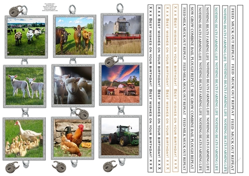 FARMING ITS A GOOD LIFE 1 CARD FRONT/TOPPERS 8X8 & FUNNY SENTIMENTS
