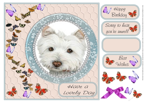 WESTIE WATCHING BUTTERFLIES