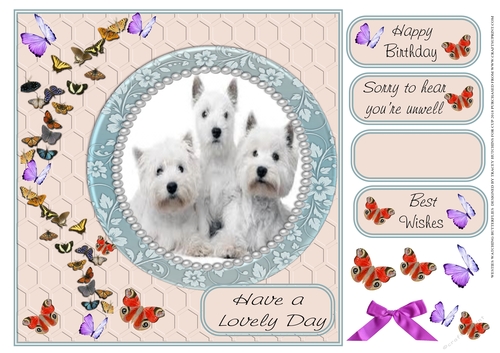 WESTIES WATCHING BUTTERFLIES